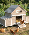 Spacious Wooden Chicken Coop With Six Nesting Boxes And Pull Out Tray For Four To Six Chickens, weatherproof, with chickens nearby