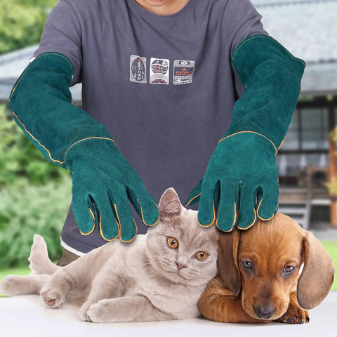 Heavy-Duty Leather Bite-Proof Animal Handling Gloves 23.7 Inch shown holding a cat and dog for safe pet interaction.