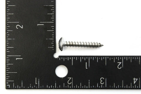 160 Piece Marine Grade Stainless Steel Truss Head Screws Set, 10 x 1-1/4 Inches, single screw with ruler for scale