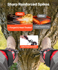 Close-up of height adjustable tree climbing spikes set with straps and protectors showing sharp reinforced forged spikes in use.