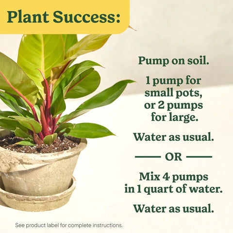 Straight Fire Liquid Plant Food For Indoor Houseplants And Potted Greens With Fast Absorbing Nutrients To Give Your Greenery A Dope Boost And Build Rock Solid Roots For Zero Sweat Care 8 Fl Oz Two Pack displayed with potted plant and care instructions.