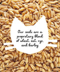Cat Grass Kit With Rustic Black Wooden Planter, Organic Cat Grass Seeds And Soil, Easy To Grow Indoor Cat Grass For Hairball Prevention And Digestion Support with wheat, oat, rye, and barley seeds.