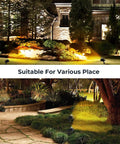 5W AC120V Landscape Up Down Spotlight With Spiked Stand illuminating garden path with warm white light