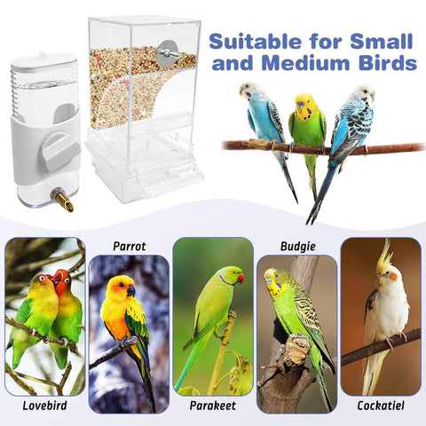 Top Shelf No Sweat Automatic Bird Feeder And Water Dispenser Set Slick Transparent Food Container For Parrots Cockatiels Lovebirds Budgies with bird images.