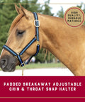 Breakaway Horse Halter With Comfort Foam Padding, Adjustable Chin And Throat Snap, Blue Average Size on horse