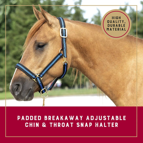 Breakaway Horse Halter With Comfort Foam Padding, Adjustable Chin And Throat Snap, Blue Average Size on horse
