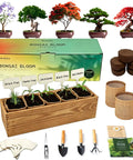 Five Pack Bonsai Tree Kit With Full Tools And Seed Packets Indoor Starter Kit In Wooden Box Easy Grow For Beginners setup display