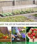 Mini Greenhouse Tunnel For Outdoors, Backyard Grower Friendly Greenhouse Hoops Kit in garden with young plants inside