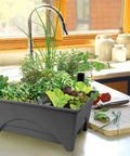 Start Pickin Raised Bed Grow Box With Self Watering And Enhanced Aeration for small herb gardens on a kitchen counter