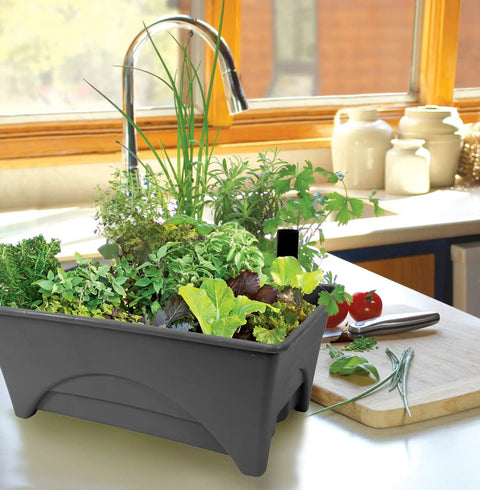 Start Pickin Raised Bed Grow Box With Self Watering And Enhanced Aeration for small herb gardens on a kitchen counter