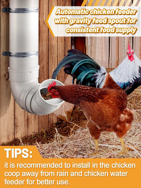 No Mess Automatic Chicken Feeder Designed To Slash Feed Costs Thickened Pvc Wall Mount Poultry Dispenser For Happy Flocks And Backyard Coops Quick Install Setup with gravity spout and chicken feeding.