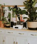 Badass Hella Smooth Antique Brass Cabinet Knobs With Oval Backplate For Kitchen Drawers And Furniture Upgrades Zinc Alloy Hardware Top Shelf Premium Set Of Twelve on a stylish gray cabinet with plants and decor.