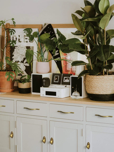 Badass Hella Smooth Antique Brass Cabinet Knobs With Oval Backplate For Kitchen Drawers And Furniture Upgrades Zinc Alloy Hardware Top Shelf Premium Set Of Twelve on a stylish gray cabinet with plants and decor.