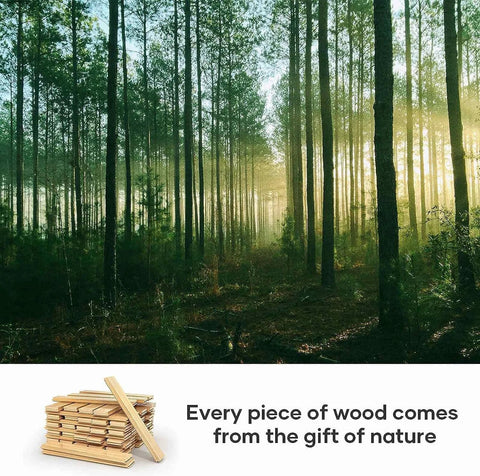 Misty forest scene with tall trees, and a stack of wooden planks symbolizing natural wood sources.