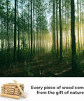 Forest landscape with wood stacks highlighting materials for 42 Inch By 84 Inch Sliding Barn Door Solid Spruce Slab Interior Door.