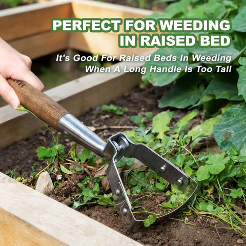 16.8 Inch Stirrup Hoe For Precise Raised Bed Weeding in use, oscillating push pull hula hoe in stainless steel between plants.