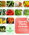 11 Heirloom Vegetable And Fruit Seeds Pack For Home Garden, Non GMO Open Pollinated Variety Bundle, Winter Garden Ready Mix