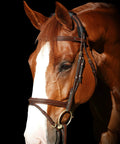 Best Therapeutic Poll Pad For Horses Far Infrared Heat Therapy Relieves Neck Pain Stiffness Jaw Tension And Cramping Electric Blue Cushion on horse's head.