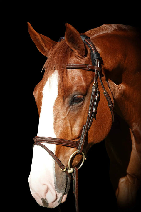 Best Therapeutic Poll Pad For Horses Far Infrared Heat Therapy Relieves Neck Pain Stiffness Jaw Tension And Cramping Electric Blue Cushion on horse's head.