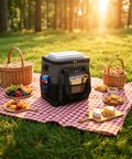 Plug In Electric Portable Cooler And 12V Car Fridge 14 Quart Capacity Soft Sided Travel Bag for Camping and Road Trips on picnic blanket.