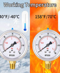 Front view of two BPSSDI glycerin-filled low-pressure gauges, 2.5 in dial, 0-30 psi, 1/4 in NPT lower mount, 304 SS case