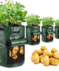 4 Pack 10 Gallon Grow Bags With Flap And Handles For Vegetables And Fruits Durable PE Planter Pots For Potatoes Onions Tomatoes And Carrots Ventilated Sides And Bottom Easy Check Window Green