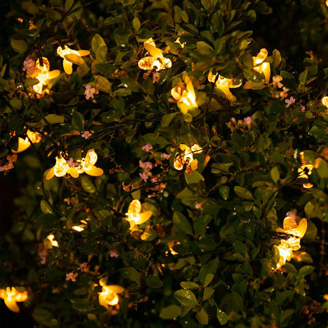 Solar Bee String Lights Outdoor 31Ft 50 LED Honeybee Fairy Lights illuminating plants at night with a warm white glow.