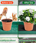 Automatic Plant Watering Mat 110 X 25 Inch Self Watering Capillary Mat For Seed Sprouting Hydroponics And Potted Plants 3mm Thick Felt Wicking Pad Delivers Water From Bottom Up For Healthy Roots showing plant improvement before and after use.