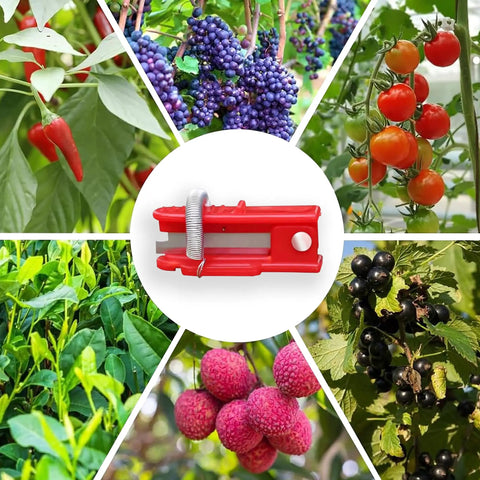 Collage of fruits and vegetables with a red All Purpose Gardener Thumb Knife And Pruning Shears in the center.