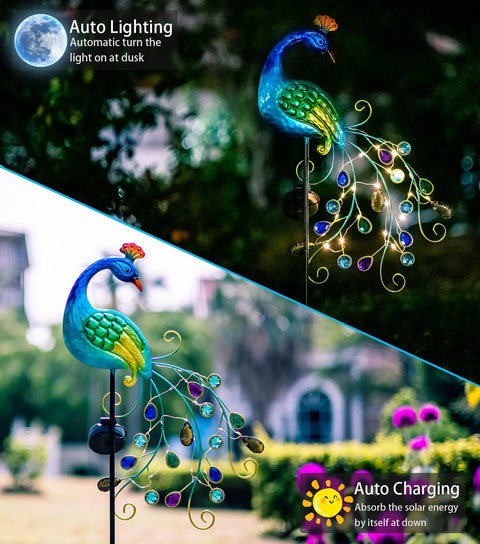 Metal Peacock Garden Solar Lights Outdoor Stake Waterproof Led Path Light displaying auto lighting and charging features