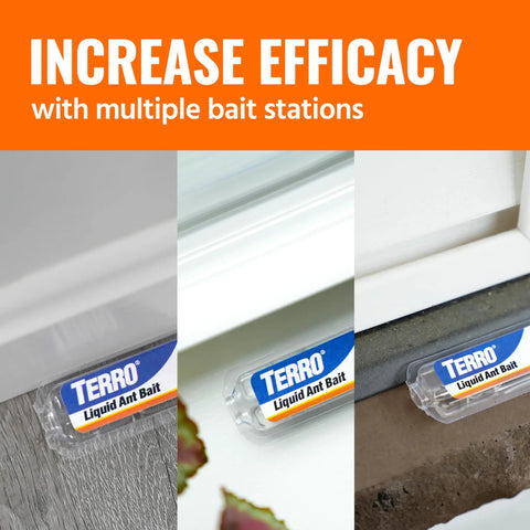 Liquid Ant Bait Stations For Indoor Control 12 Count Bait System That Attracts And Kills Ants Fast placed on different surfaces
