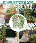 Collage of 7.5 Ft Metal Garden Arch Trellis With Netting, Adjustable 35 To 45 Inch Arbor for climbing plants in garden settings