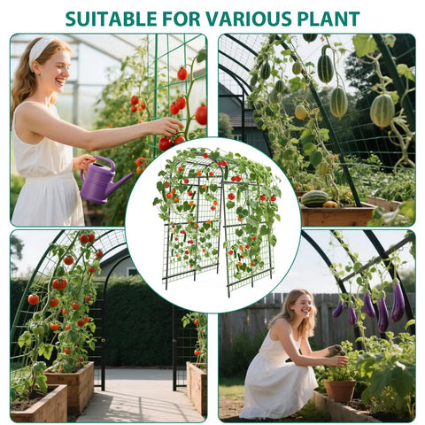 Collage of 7.5 Ft Metal Garden Arch Trellis With Netting, Adjustable 35 To 45 Inch Arbor for climbing plants in garden settings