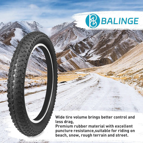 Beefy 20x3 Fat Bike Tire for E-Bikes and Mountain Snow Riding, shown against a snowy mountain backdrop.