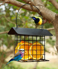 Outdoor Suet Feeder Hanging Cage Weatherproof Metal Suet Holder Squirrel Proof Bird Feeder with roof, attracting birds