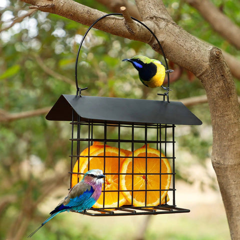 Outdoor Suet Feeder Hanging Cage Weatherproof Metal Suet Holder Squirrel Proof Bird Feeder with roof, attracting birds