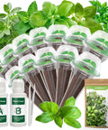 12 Pod Gourmet Herb Seed Kit For Indoor Hydroponics Easy To Grow Universal Seed Starter Pods with herb seedlings