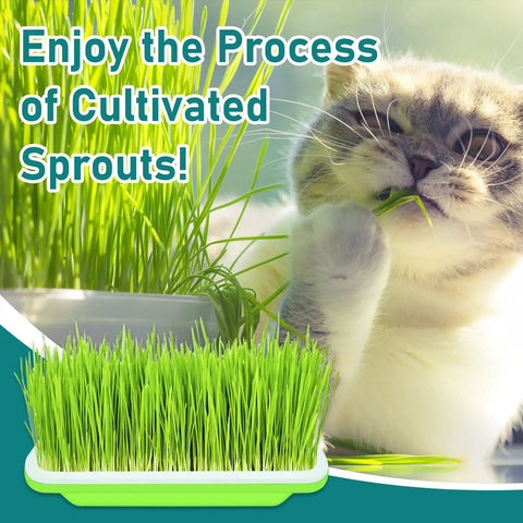 Cat chewing grass beside 10 Pack Green Seed Sprouter Trays For No Soil Needed Germination No Fuss Water Only Setup BPA Free Nursery Trays