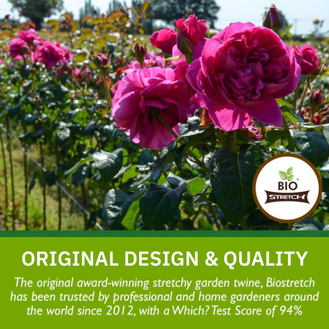 Pink roses supported by BioStretch stretchy garden twine, emphasizing award-winning design and quality for home gardens.