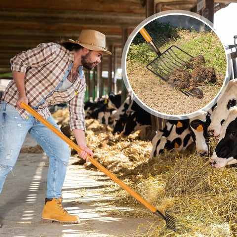Man using 4 Pack 10 Tine Pitch Fork With Long Wooden Handle Heavy Duty Muck Rake Broadfork Garden Tool For Manure Cleanup in stall.