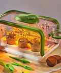 Kid Friendly Garden Grow Kit With Drip Irrigation And Grow Lights Mini Greenhouse Terrarium Set For STEM Fun, flowers growing indoors