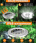 IP65 waterproof 12 LED Solar Disk Lights for outdoor pathway with bright white illumination, shown charging and lighting up in a garden.