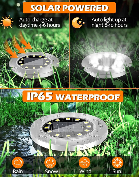 IP65 waterproof 12 LED Solar Disk Lights for outdoor pathway with bright white illumination, shown charging and lighting up in a garden.