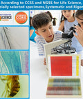 120 Lab Grade Microscope Slides With Specimens Set for Kids and Adults, All-In-One STEM Biology Kit for Homeschool and Classrooms, Botany, Zoology, Microbiology, Histology, and Cells with students using a microscope