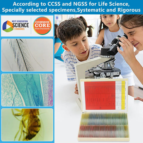 120 Lab Grade Microscope Slides With Specimens Set for Kids and Adults, All-In-One STEM Biology Kit for Homeschool and Classrooms, Botany, Zoology, Microbiology, Histology, and Cells with students using a microscope