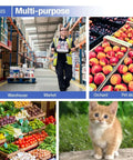 Multi-purpose scales used in warehouse, market, orchard, and pet store settings with cat and various produce.