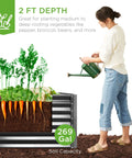 6x3x2ft Outdoor Metal Raised Garden Bed With A 24 Inch Deep Root Box For Veggies, Flowers And Herbs, 269 Gallon Soil Capacity, Gray