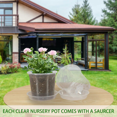 Clear 4 Inch Nursery Pots With Drainage And Saucers, 20 Pack Transparent Plant Pots in garden setting with flowers visible