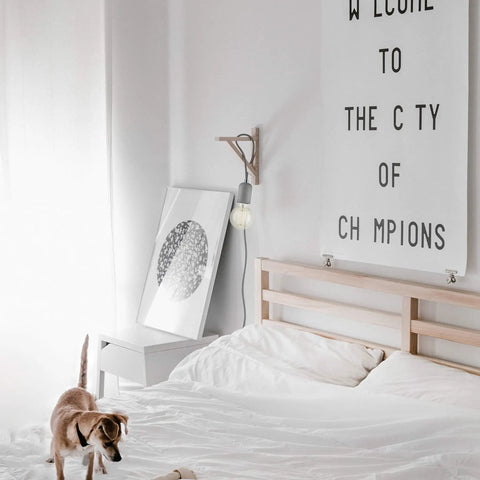 Bedroom scene with Edison G30 Globe Vanity Light Bulb 60W on wall above bed, cozy decor and dog playing on white bedding.