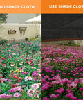 Effect of 40 Percent Shade Cloth With Grommets 10 Ft By 20 Ft Garden Mesh Shade Net on plants, showing shaded and unshaded areas.